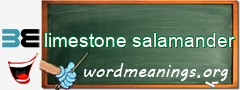 WordMeaning blackboard for limestone salamander